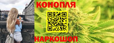 эйфоретик Гай