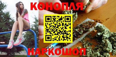 эйфоретик Гай