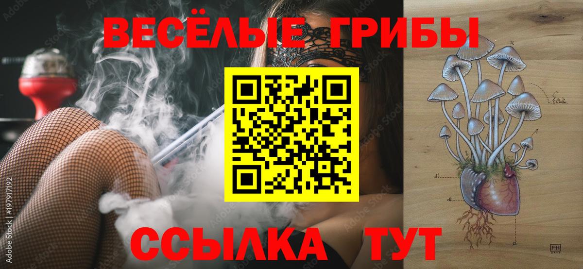 купить  цена  Орск  Псилоцибиновые грибы ЛСД  Галлюциногенные грибы MAGIC MUSHROOMS 