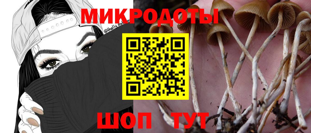 Галлюциногенные грибы Magic Shrooms Орск