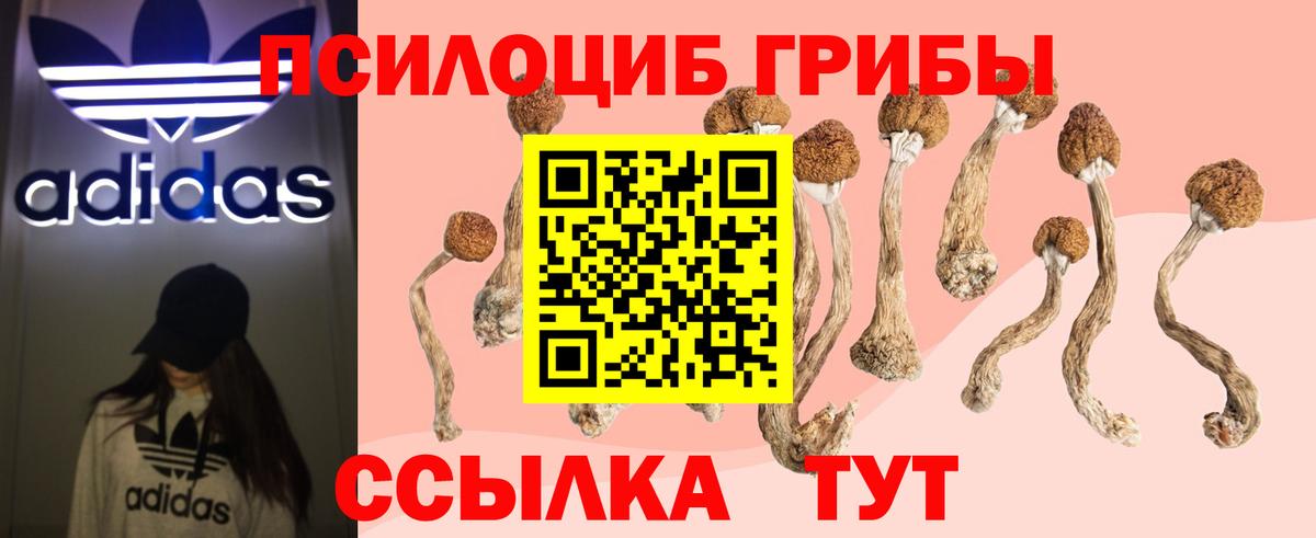 Псилоцибиновые грибы Орск