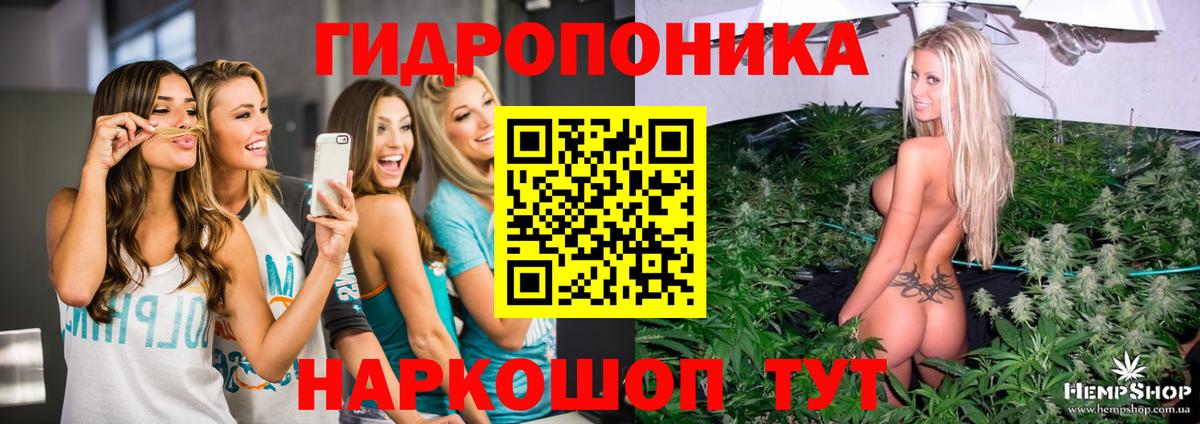 Канабис планчик Орск